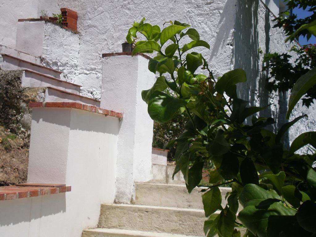 Apartamentos Rurales El Canuelo De Carcabuey Δωμάτιο φωτογραφία